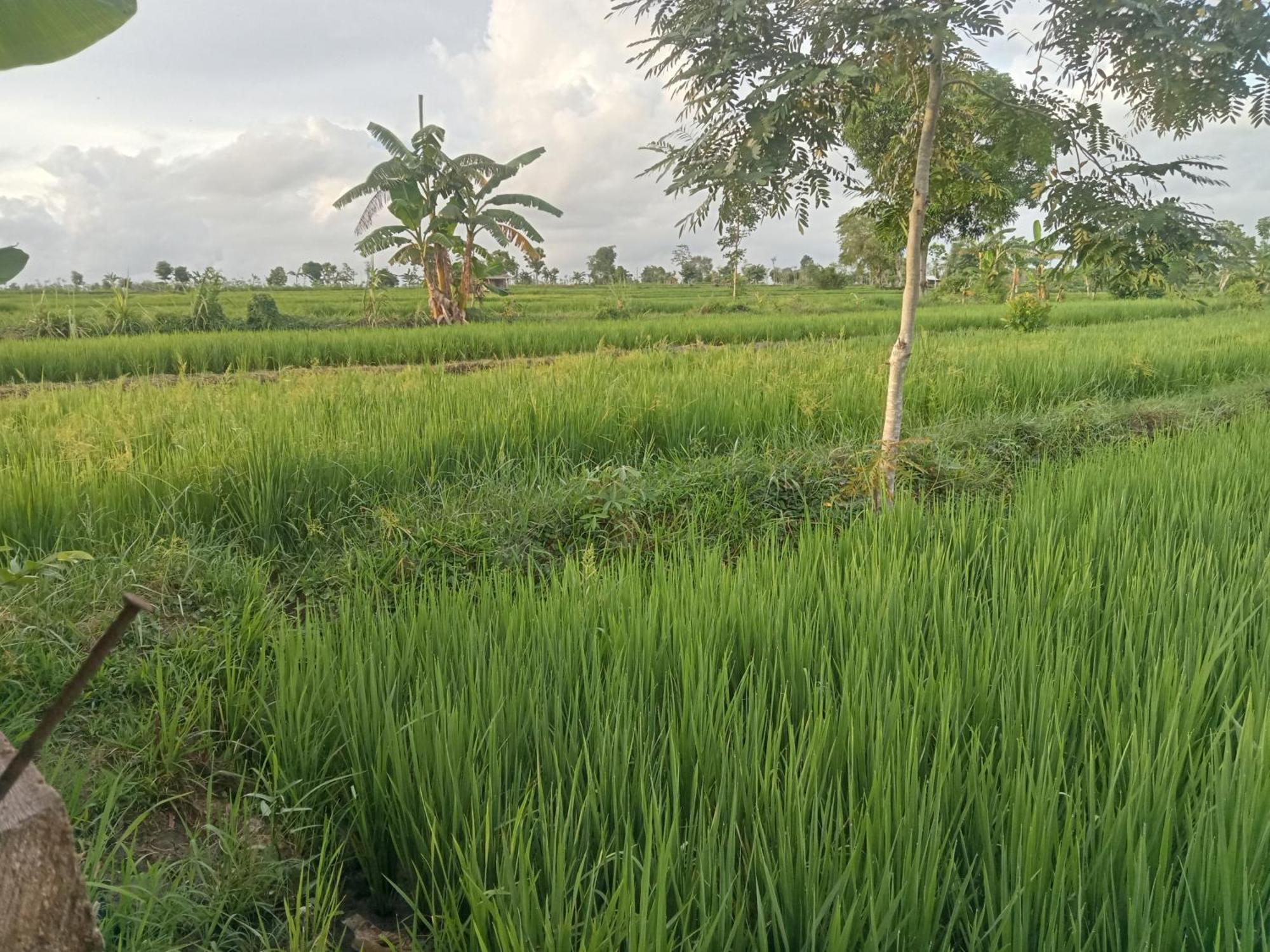 Bulan Homestay Plambi Luaran gambar