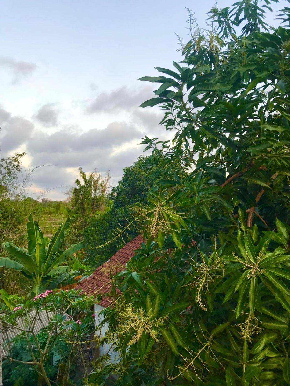 Bulan Homestay Plambi Luaran gambar